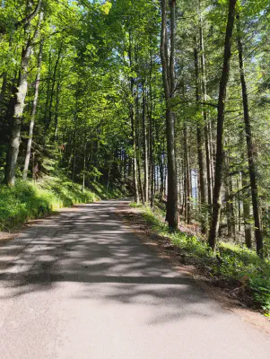 FOTO: 16:58 / Kein passender GPS-Punkt gefunden