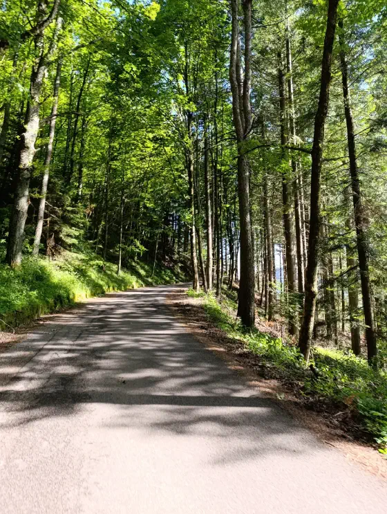 16:58 Uhr