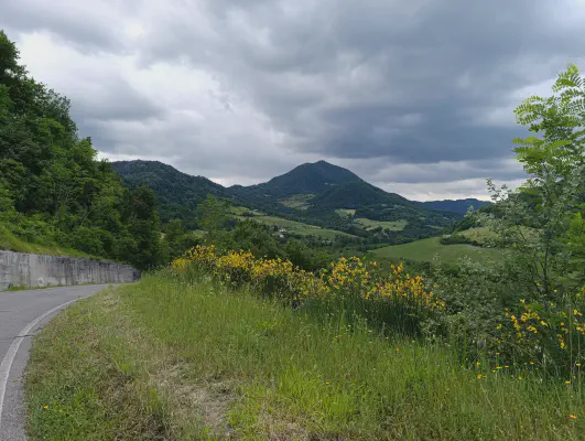 FOTO: 13:09 / Ort: ca. 44.4657, 11.2900