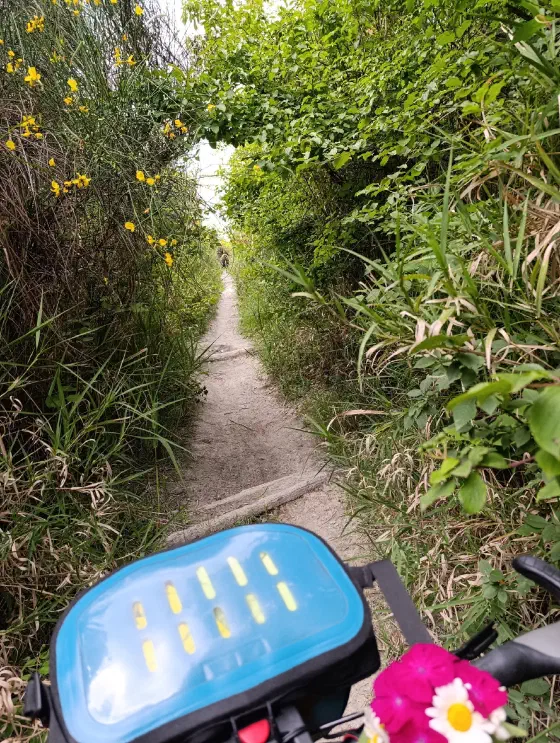 14:57 Uhr, ca. 44.5248, 11.3758