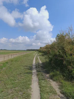 FOTO: 10:04 / Ort: ca. 44.9430, 12.2335