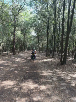 FOTO: 10:13 / Ort: ca. 44.9460, 12.2713