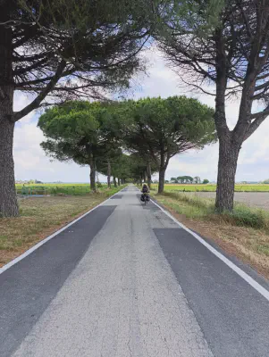 FOTO: 11:07 / Ort: ca. 44.9656, 12.3345