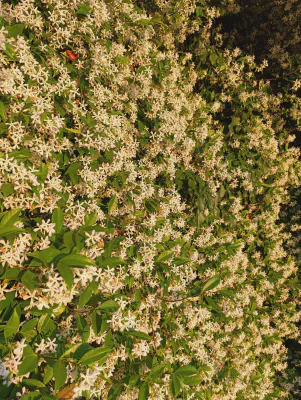 FOTO: 20:13 / Kein passender GPS-Punkt gefunden