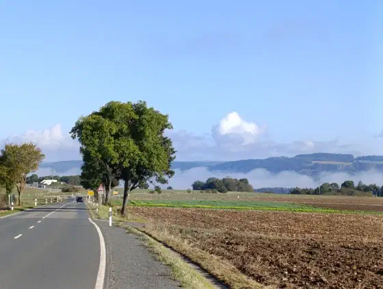 Landstraße mit Nebelschwaden über den Feldern im Fichtelgebirge