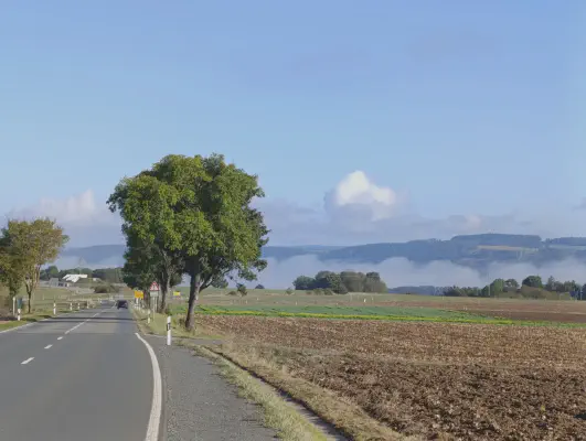 Landstraße mit Nebelschwaden über den Feldern im Fichtelgebirge