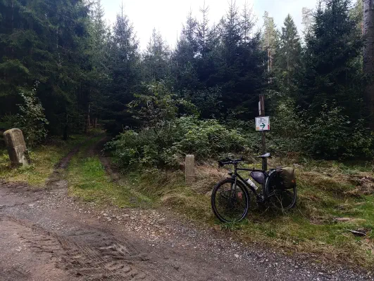 Radwegweiser an einer Weggabelung im Wald