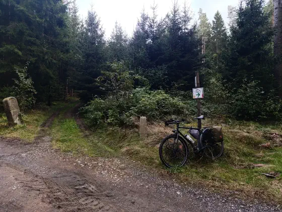 Radwegweiser an einer Weggabelung im Wald