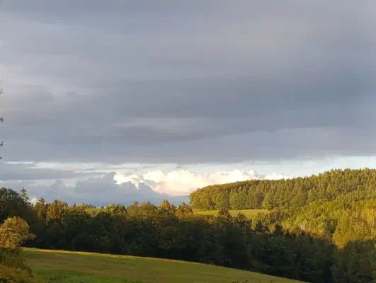 Abendsonne über den Wäldern des Erzgebirges