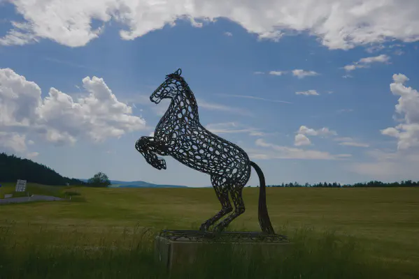 FOTO: 12:21 / Ort: ca. 47.0180, 15.0861