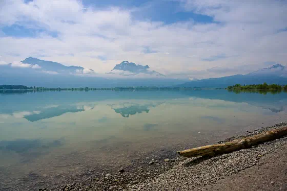 Spiegelung im morgendlichen Forggensee.