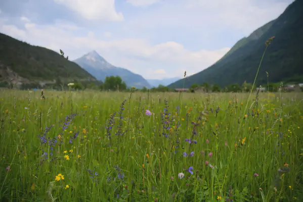 Blick zurück ins Inntal 