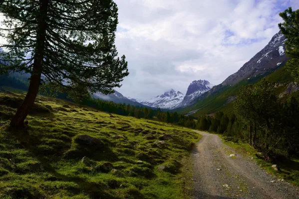 Morgenstimmung im Val Mora