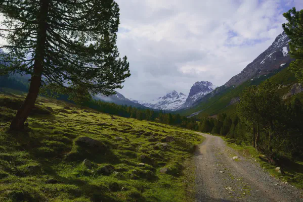 Morgenstimmung im Val Mora
