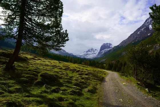 Morgenstimmung im Val Mora