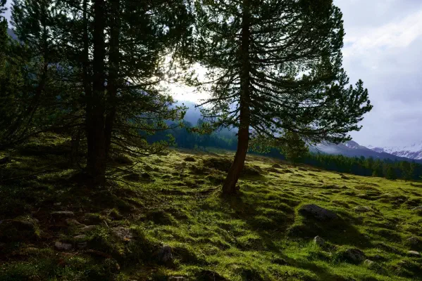 Morgenstimmung im Val Mora