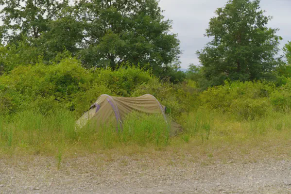 leicht versteckt in den Büschen