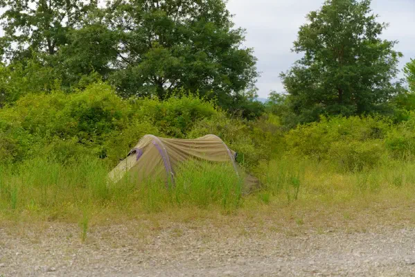 leicht versteckt in den Büschen