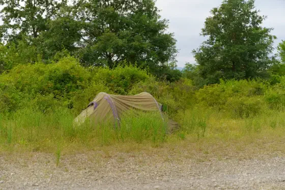 leicht versteckt in den Büschen