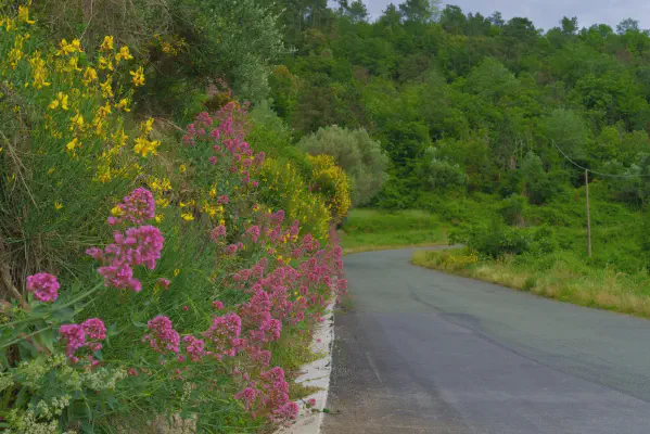 Frühling im Apennin