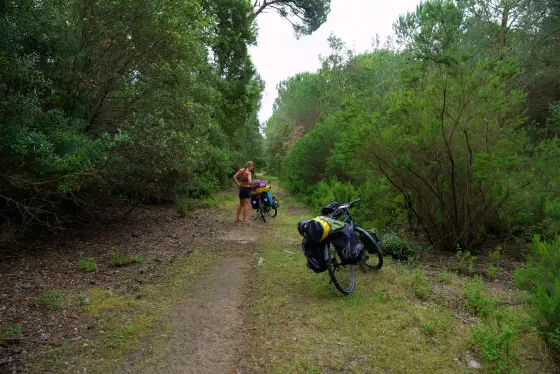"Radweg" im Regionalpark Migliarino (Parco di Migliarino)