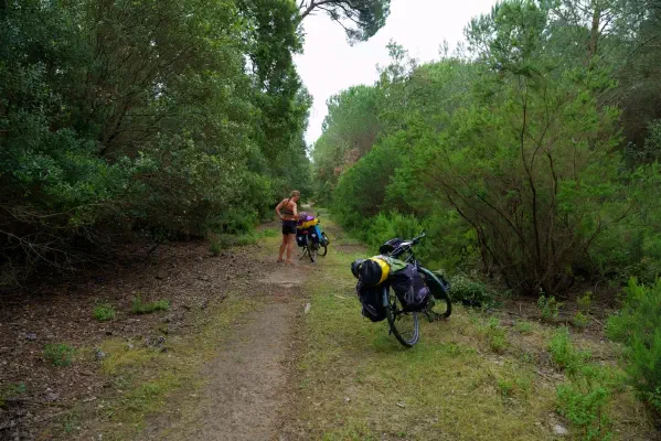 "Radweg" im Regionalpark Migliarino (Parco di Migliarino)