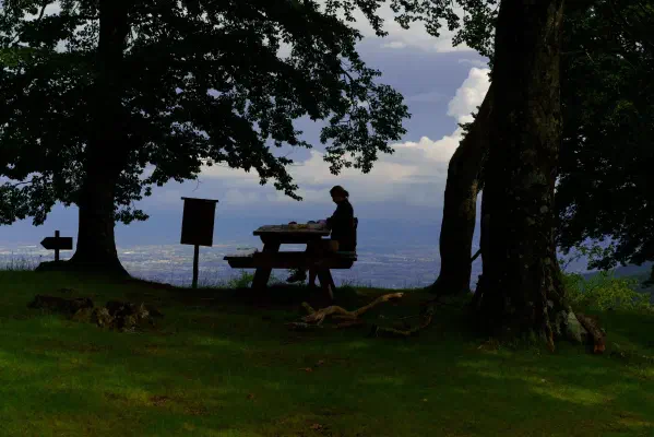 Picknick am Wegesrand