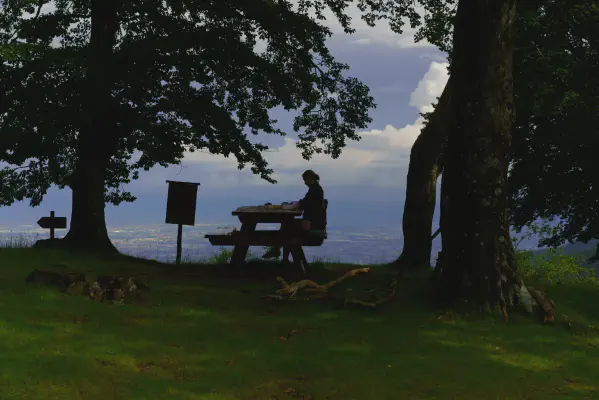 Picknick am Wegesrand