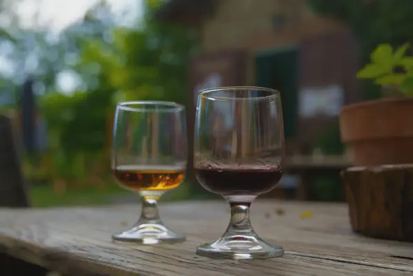 Weinverkostung in Ca’ le Scope