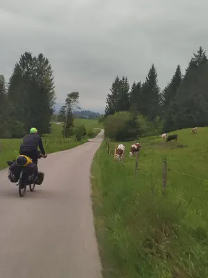 Über Wiesen und Weiden Richtung Lechbruck am See.