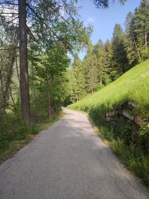 Herrlicher Weg durch den Wald