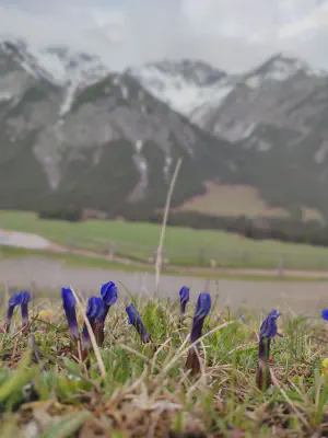 Morgenstimmung im Val Mora