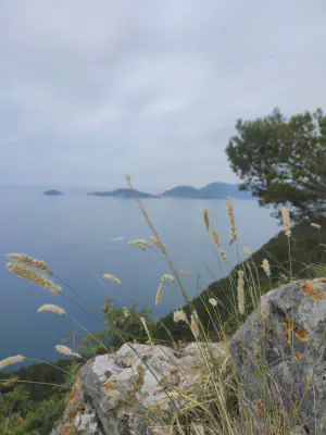 wunderschöne Küste