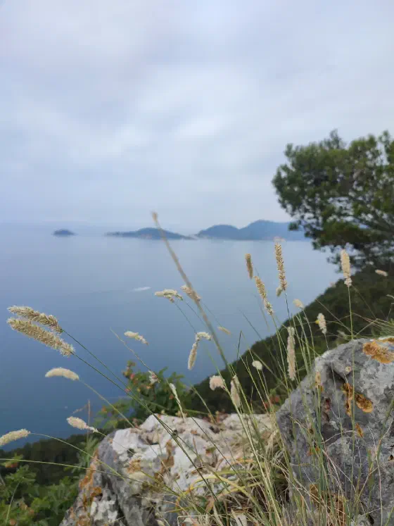 wunderschöne Küste