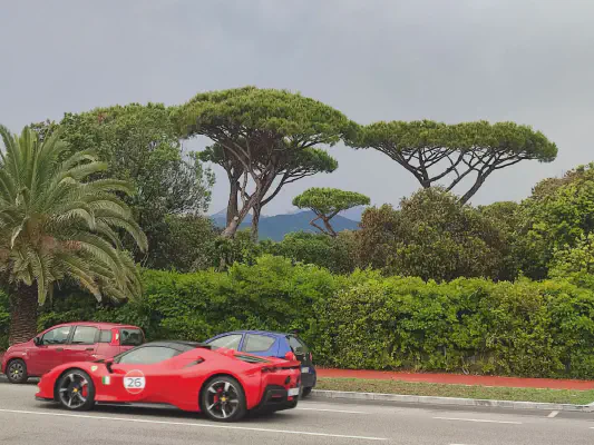 Spielzeugautos am südlichen Ende