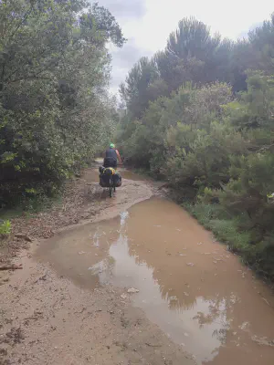 "Radweg" im Regionalpark Migliarino (Parco di Migliarino)