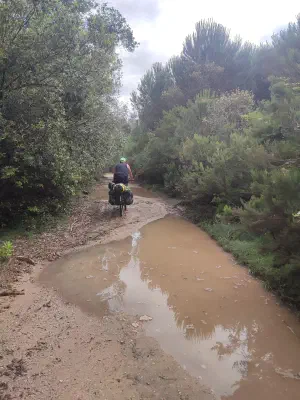 "Radweg" im Regionalpark Migliarino (Parco di Migliarino)