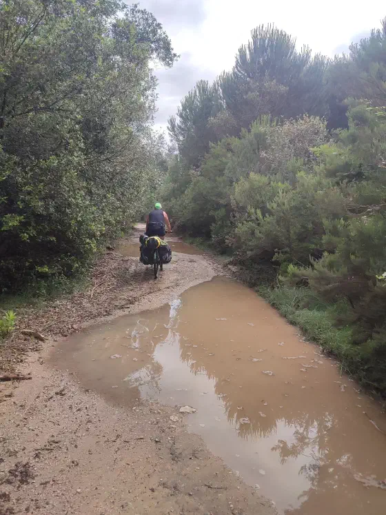 "Radweg" im Regionalpark Migliarino (Parco di Migliarino)