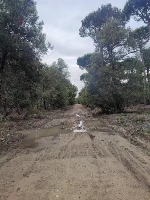 "Radweg" im Regionalpark Migliarino (Parco di Migliarino)