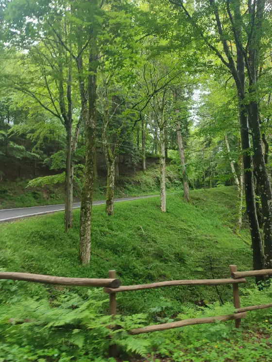 herrliches Radfahren im Apennin