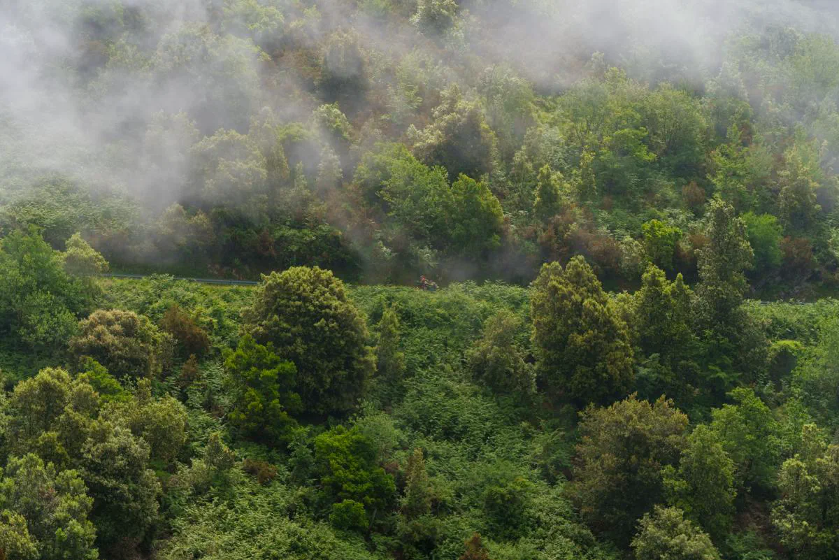 Bannerbild für Via Claudia Augusta extended